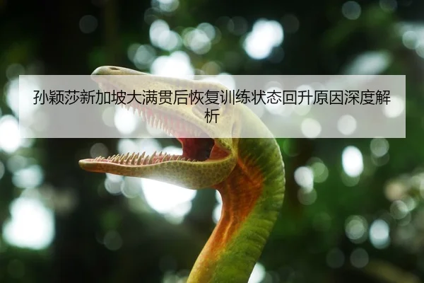 孙颖莎新加坡大满贯后恢复训练状态回升原因深度解析
