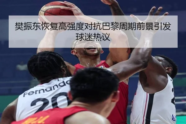 樊振东恢复高强度对抗巴黎周期前景引发球迷热议